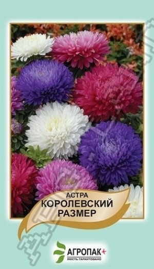 Королівський розмір 0,5 гр