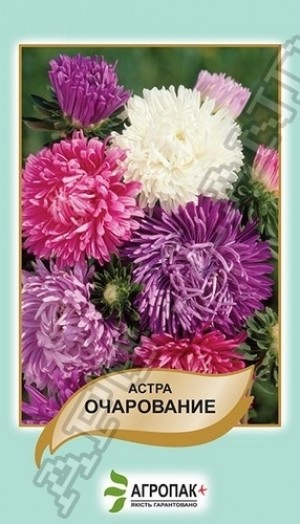 Очарування 0,3 гр суміш