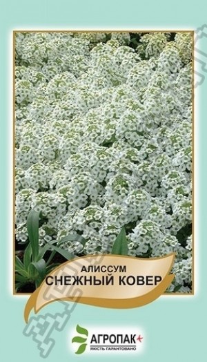 Алісум Сніговий килим 0,2 гр