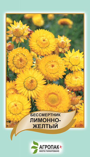 Безсмертник лим.-жовтий 0,2 г