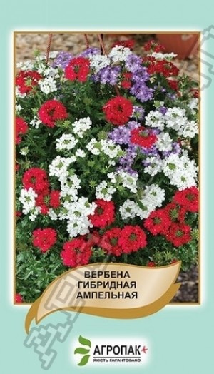 Вербена ампельна суміш 0,2 гр