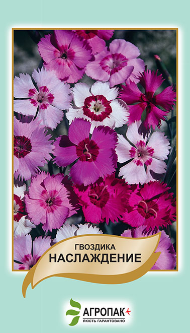 Гвоздика Насолода 0,05 г