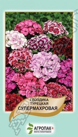 Гвоздика турецька супермахрова 0,5 г