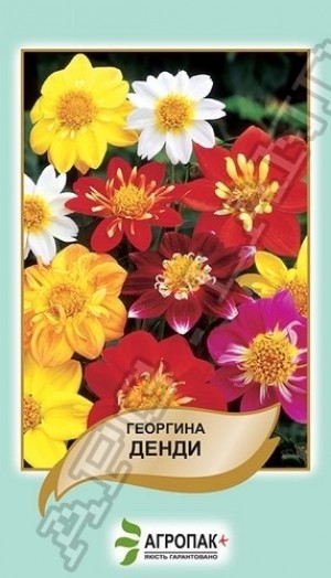 Жоржина Денді 0,5 г суміш