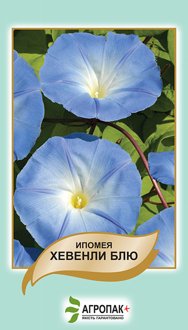 Іпомея Хевенлі Блю 1 г