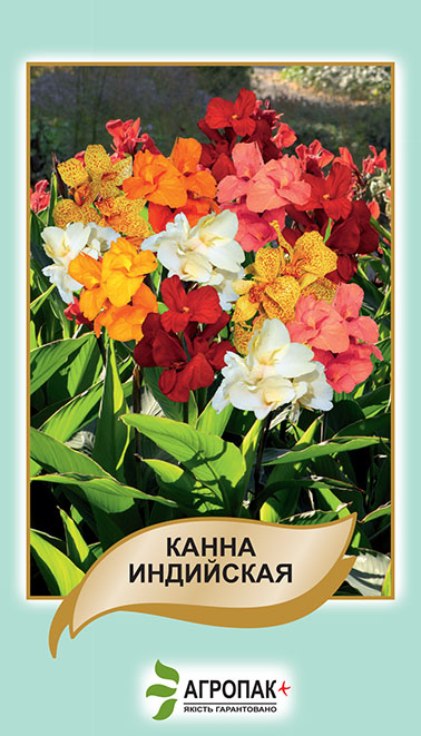 Канна індійська 5нас суміш