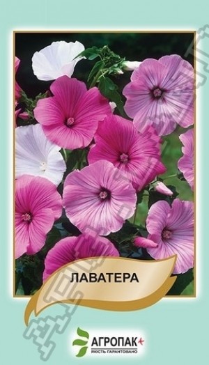 Лаватера суміш 0,5 г