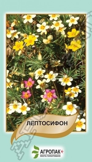 Лептосифон суміш 0,1 г