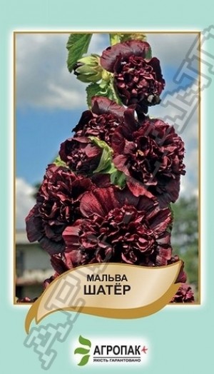 Мальва Шатер 0,3 г темно-бордова