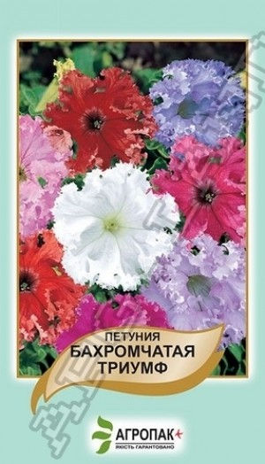 Петунія бахромч. Тріумф 50 нас суміш