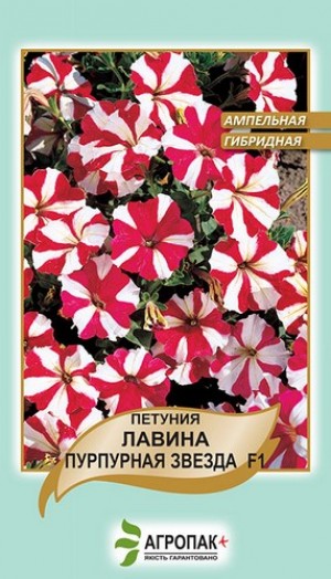 Петунія Лавіна пурпурна зірка F1 20нас, великоквіткова