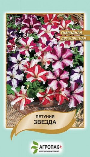 Петунія двоколірна Зірка 20 нас суміш
