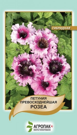 Петунія непереверш Розеа 20 нас