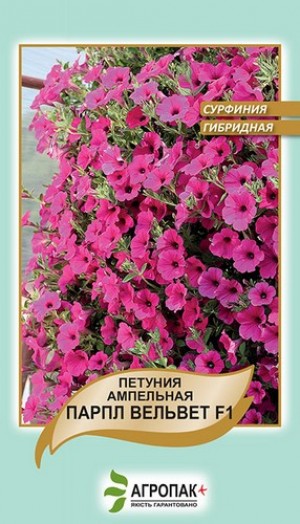 Петунія Парпл Вельвет 5 нас