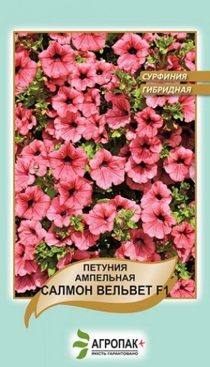 Петунія сурфінія Салмон Вельвет 5 нас