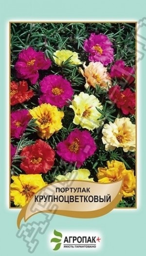 Портулак великокв. 0,1 г суміш