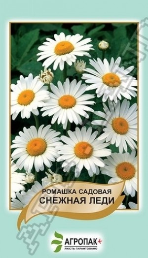 Ромашка Снігова Леді. 0,5 г