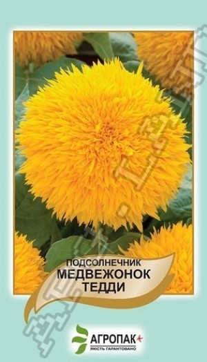 Соняшник Ведмежатко Тедді 1 г