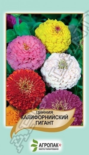 Цинія Каліф. гігант 0,5 г