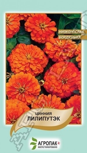 Цинія Ліліпутек 0,2 г помаранч (жовто гаряча)