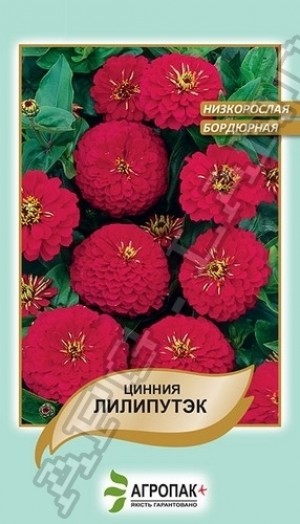 Цинія Ліліпутек 0,2 г червона