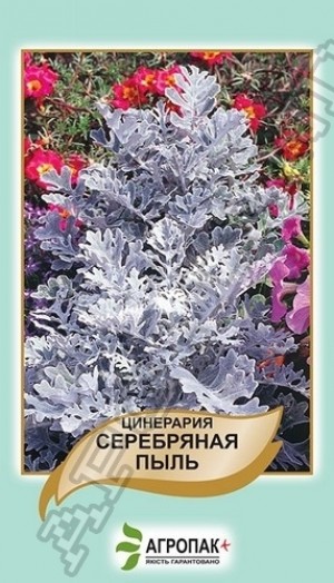 Цинерарія Серебряная пыль 0,1 г