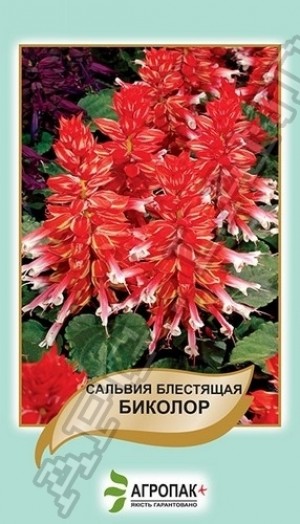 Шавлія Біколор 0,2 г