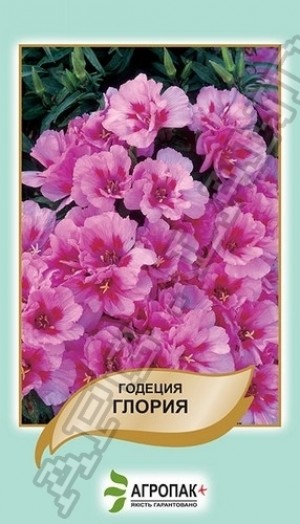 Годеція Глорія 0,2г