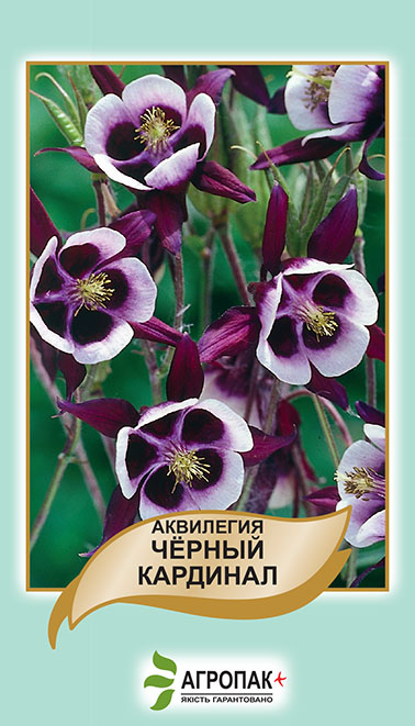 Аквілегія Чорний Кардинал 0.1г