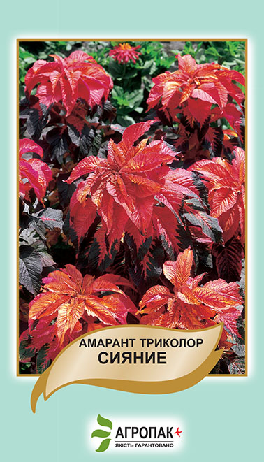 Амарант триколор Сяйво 0.1г