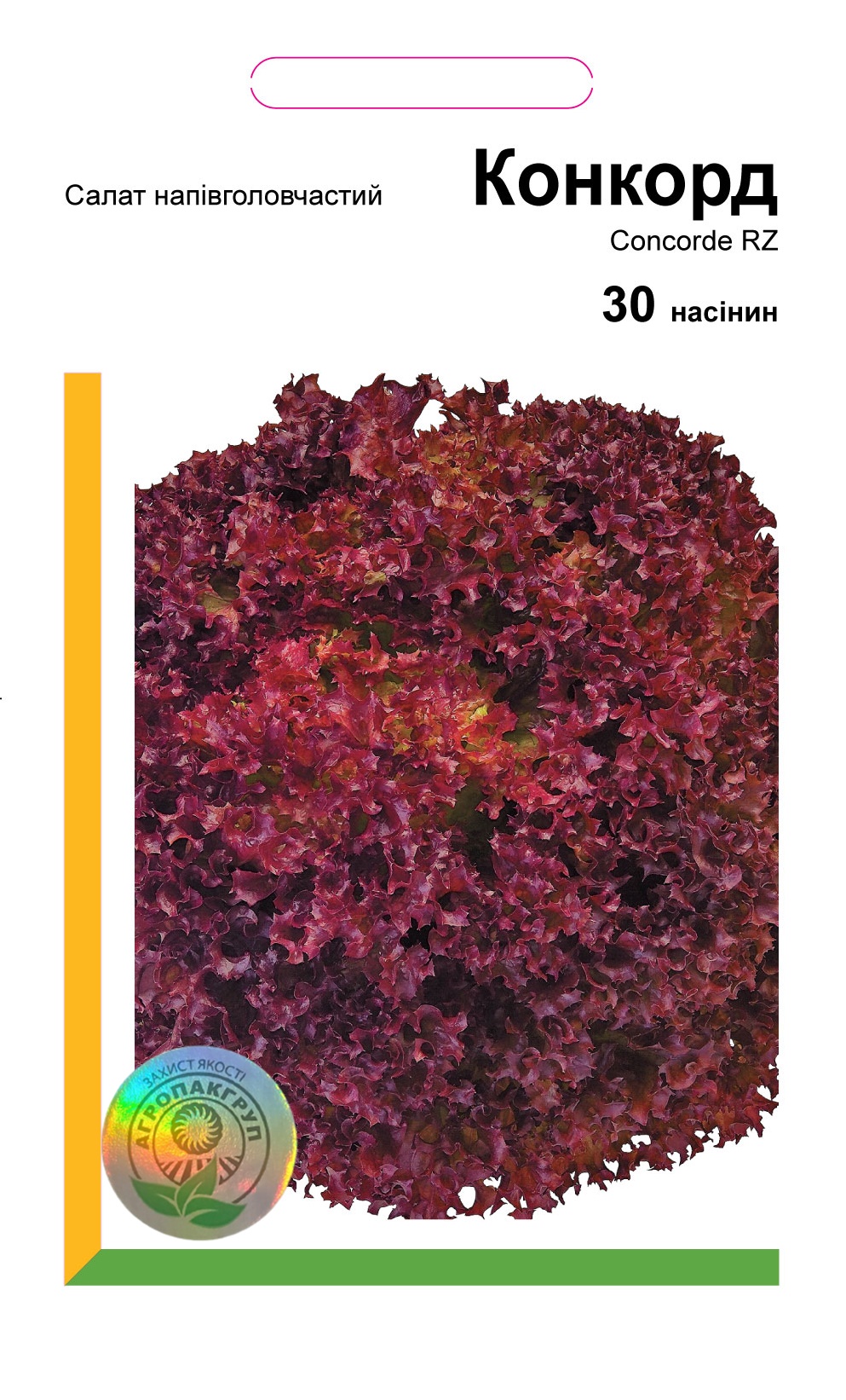 Конкорд 30нас (тип Лолло Росса)