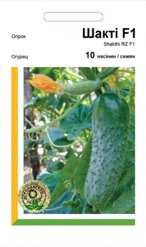 Шакті F1 10нас