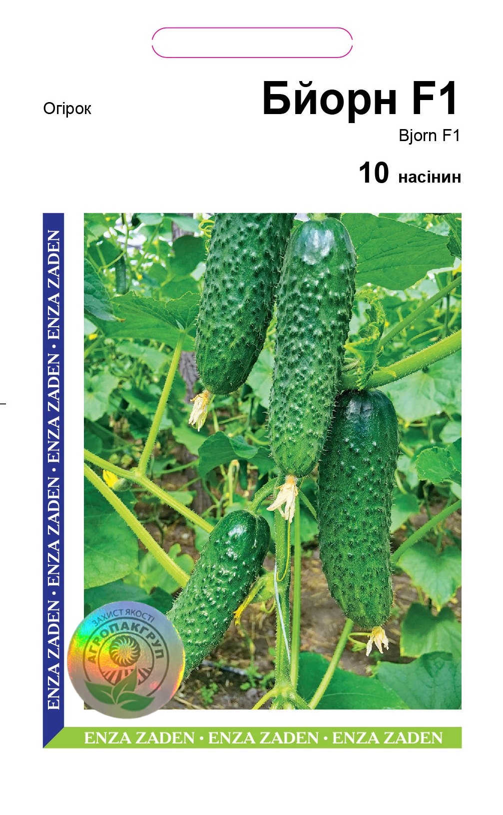 Бйорн F1 10нас