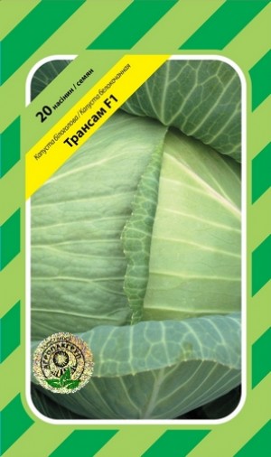 Трансам F1 20нас