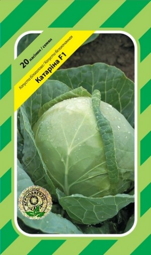 Катаріна F1 20нас