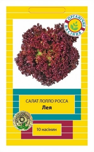 Лея 10нас (тип Лолло Росса)