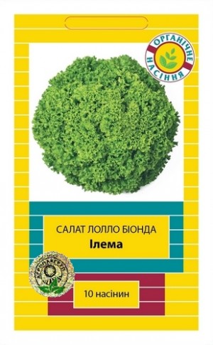 Ілема 10нас (тип Лолло Біонда)