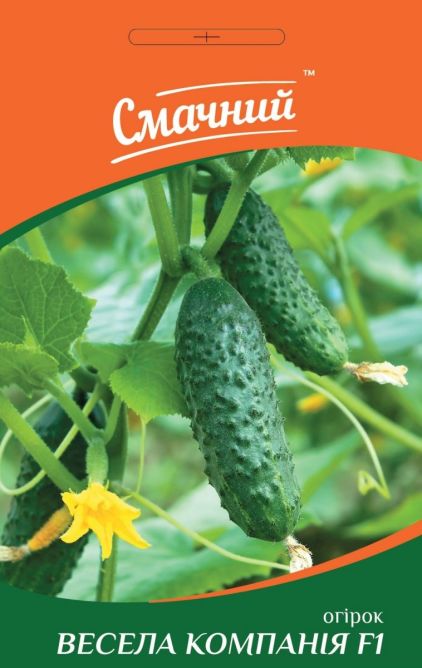 Весела Компанія F1 1г