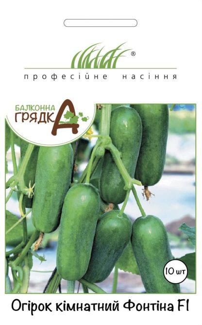 кімнатний Фонтіна F1 10нас