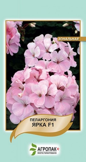 Пеларгонія Ярка F1 5нас