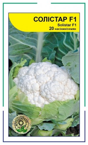 Солістар F1 20нас