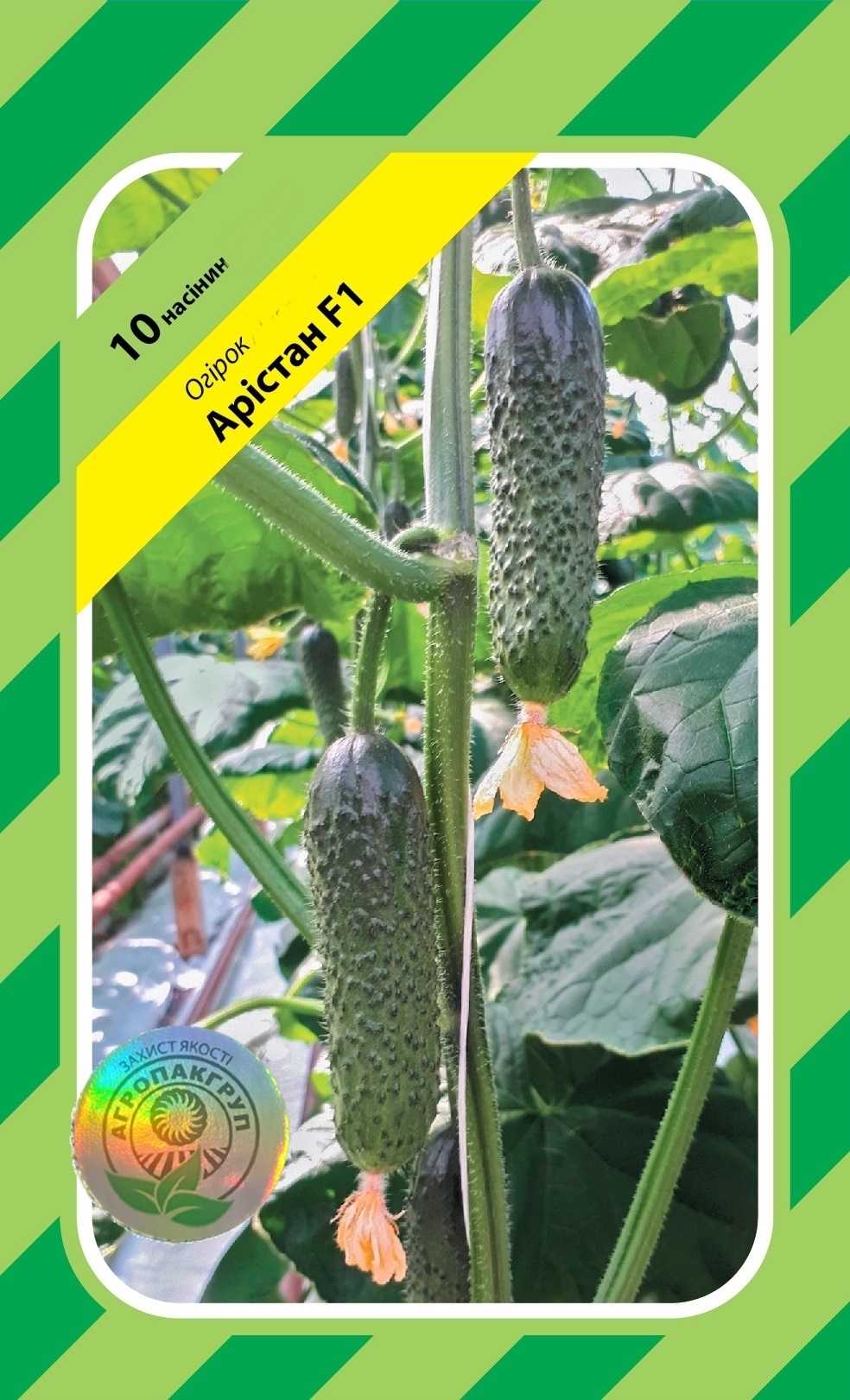 Арістан F1 10нас