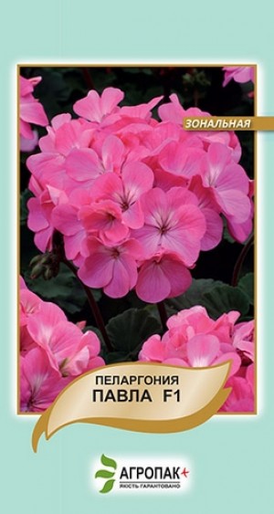 Пеларгонія Павла F1 5нас