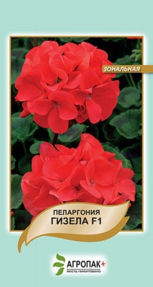 Пеларгонія Гізела F1 5нас