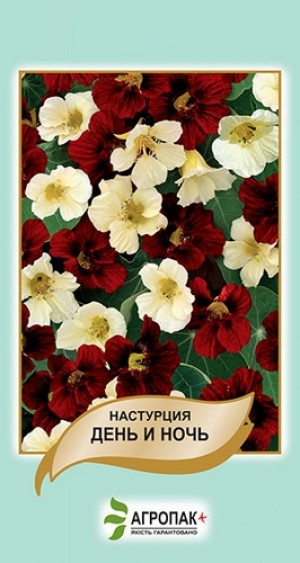 Настурція День і ніч 2г